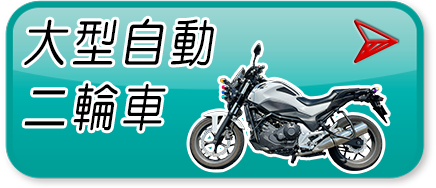 大型自動二